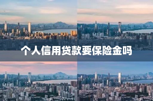 个人信用贷款要保险金吗