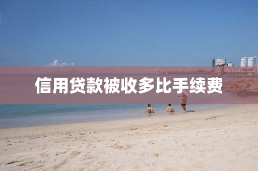 信用贷款被收多比手续费