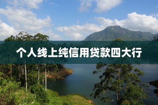 个人线上纯信用贷款四大行