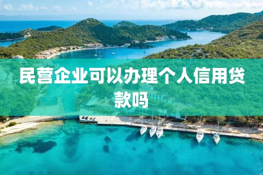 民营企业可以办理个人信用贷款吗