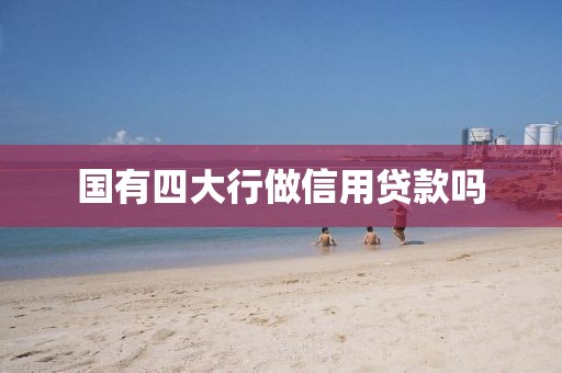 国有四大行做信用贷款吗