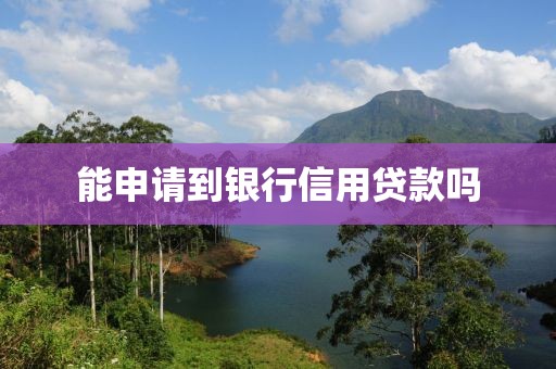 能申请到银行信用贷款吗