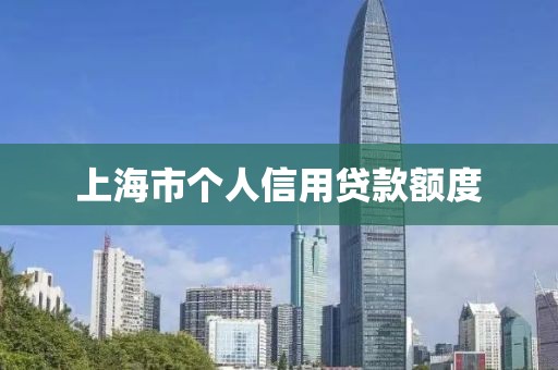 上海市个人信用贷款额度