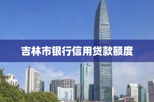吉林市银行信用贷款额度
