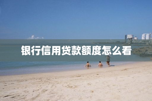 银行信用贷款额度怎么看