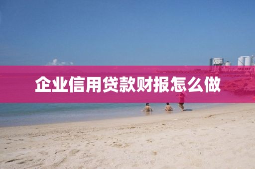 企业信用贷款财报怎么做