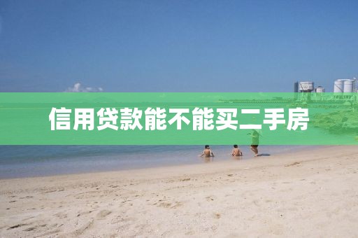 信用贷款能不能买二手房