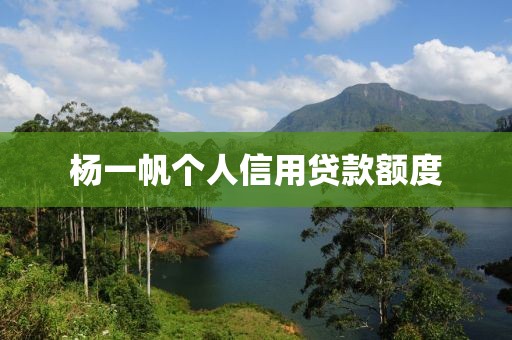 杨一帆个人信用贷款额度
