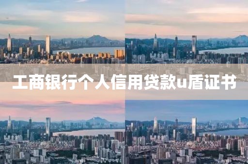 工商银行个人信用贷款u盾证书
