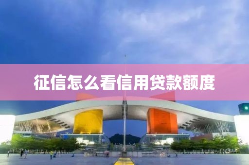 征信怎么看信用贷款额度