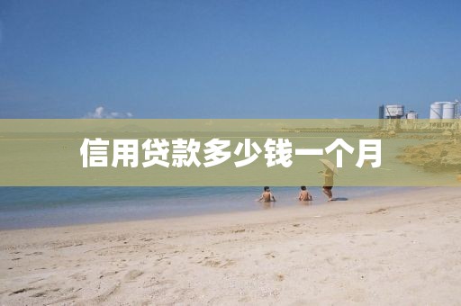 信用贷款多少钱一个月