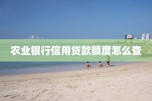 农业银行信用贷款额度怎么查
