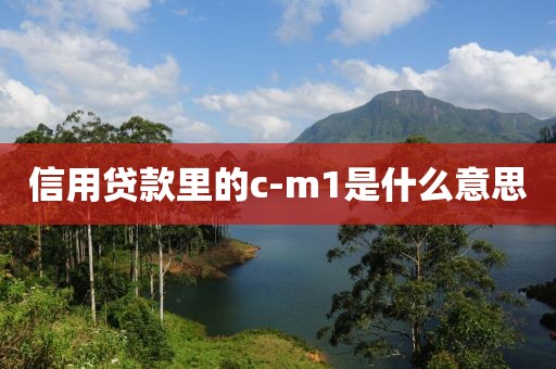 信用贷款里的c-m1是什么意思