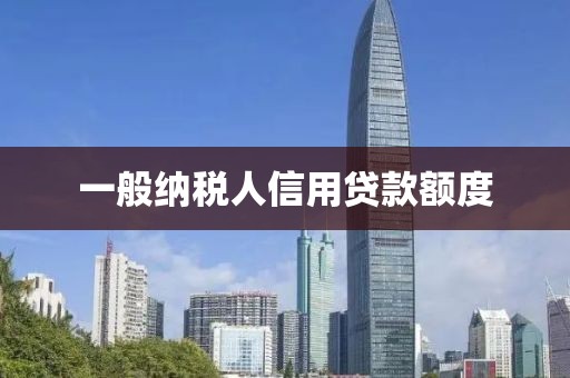 一般纳税人信用贷款额度