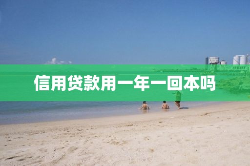 信用贷款用一年一回本吗