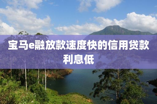 宝马e融放款速度快的信用贷款利息低