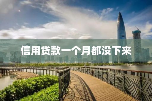 信用贷款一个月都没下来