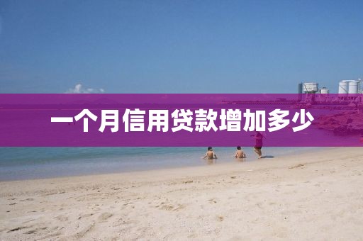 一个月信用贷款增加多少