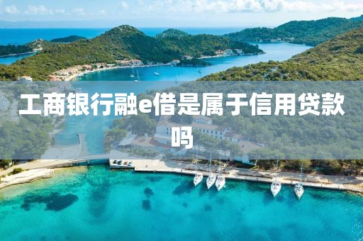 工商银行融e借是属于信用贷款吗