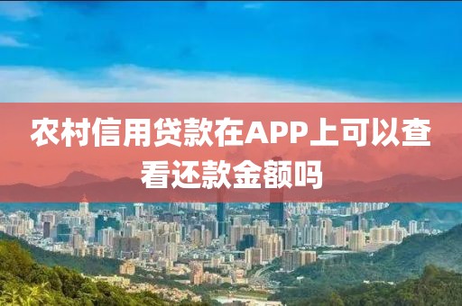 农村信用贷款在APP上可以查看还款金额吗
