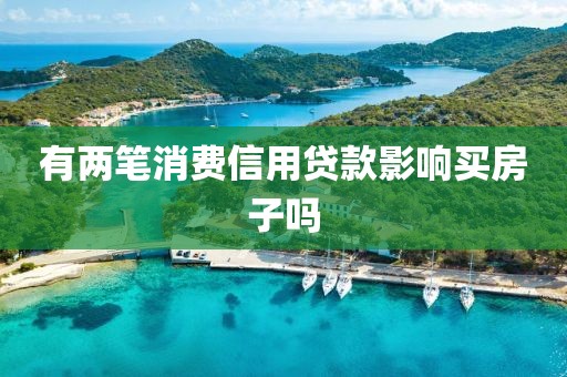 有两笔消费信用贷款影响买房子吗