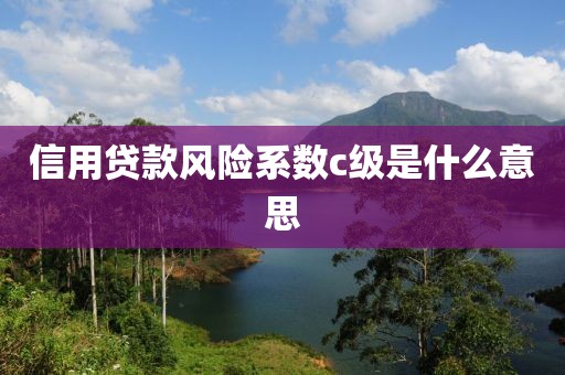 信用贷款风险系数c级是什么意思