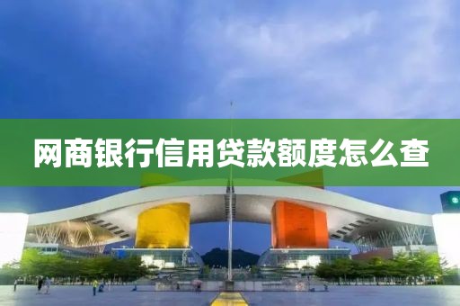 网商银行信用贷款额度怎么查