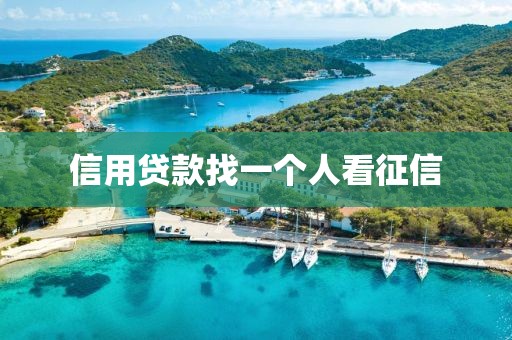 信用贷款找一个人看征信