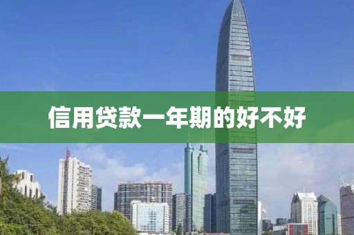 信用贷款一年期的好不好