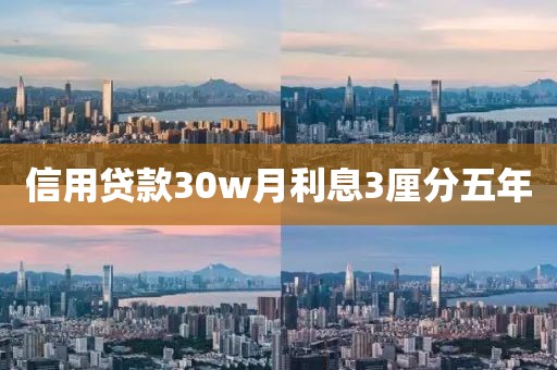 信用贷款30w月利息3厘分五年