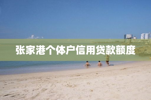 张家港个体户信用贷款额度