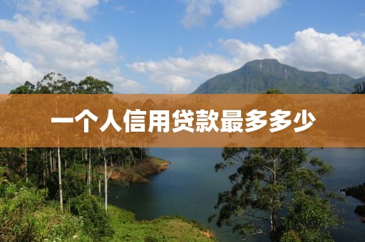 一个人信用贷款最多多少