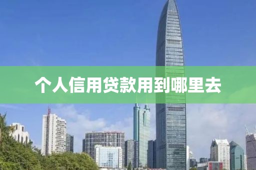 个人信用贷款用到哪里去
