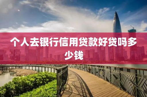 个人去银行信用贷款好贷吗多少钱