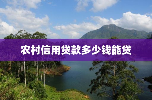 农村信用贷款多少钱能贷