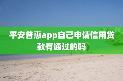 平安普惠app自己申请信用贷款有通过的吗