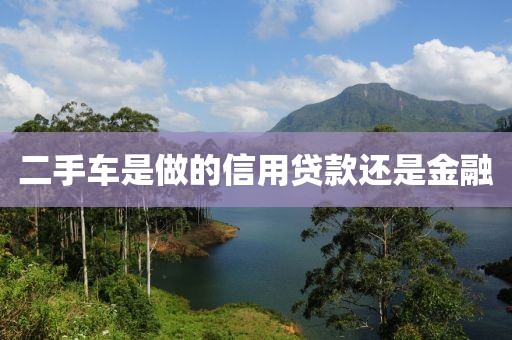 二手车是做的信用贷款还是金融