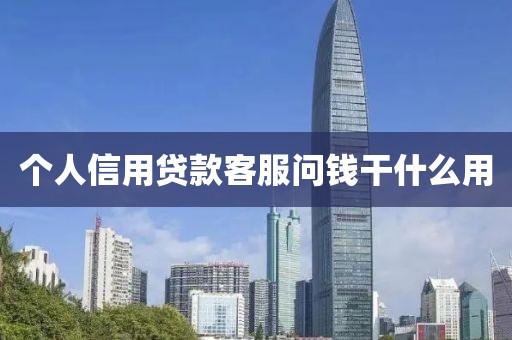 个人信用贷款客服问钱干什么用