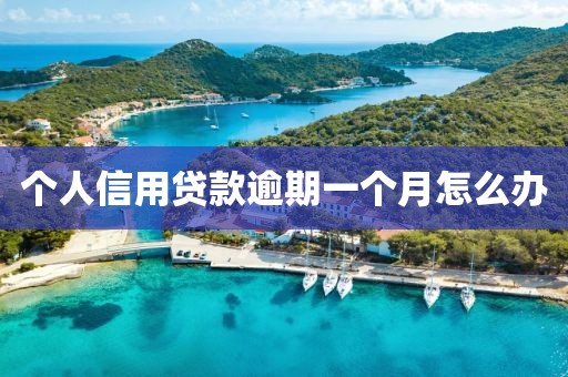个人信用贷款逾期一个月怎么办