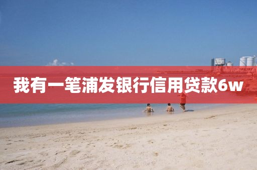 我有一笔浦发银行信用贷款6w