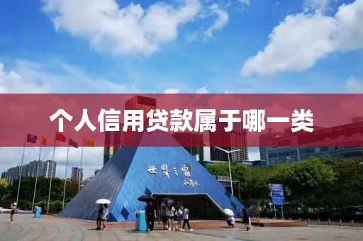 个人信用贷款属于哪一类