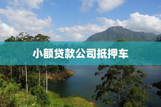 小额贷款公司抵押车