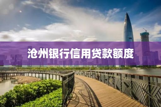 沧州银行信用贷款额度