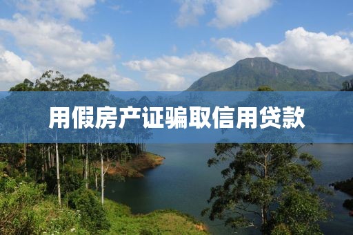 用假房产证骗取信用贷款