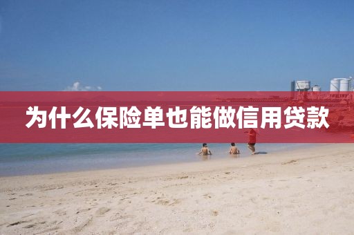为什么保险单也能做信用贷款