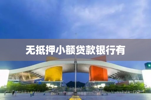 无抵押小额贷款银行有