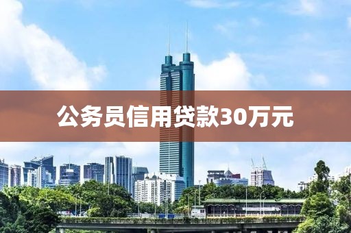 公务员信用贷款30万元