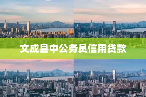 文成县中公务员信用贷款