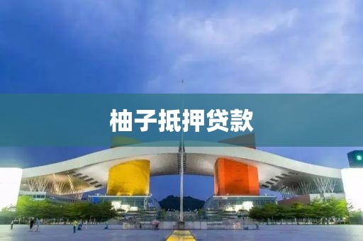柚子抵押贷款
