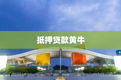 抵押贷款黄牛